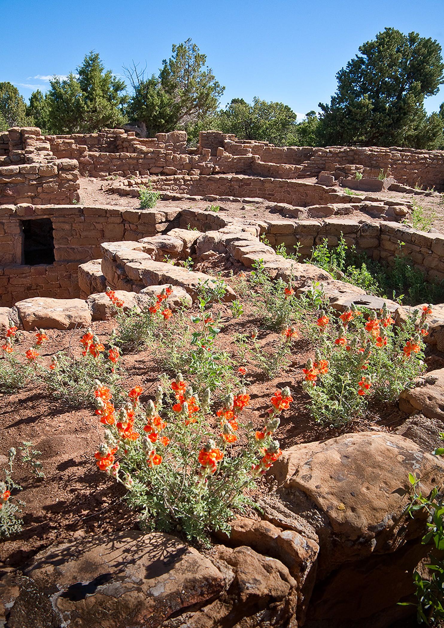 Far View Lodge Parque Nacional Mesa Verde Exterior foto